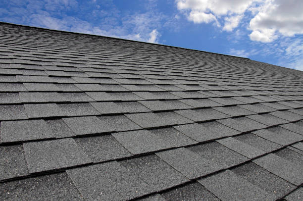 Best Emergency Roof Repair Services  in La Marque, TX