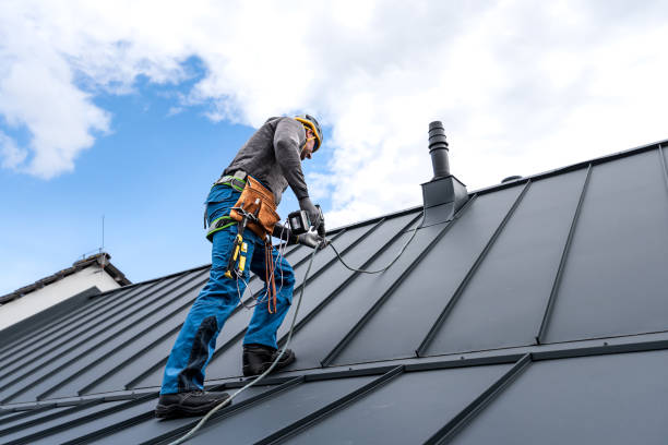 Best Gutter Installation and Repair  in La Marque, TX